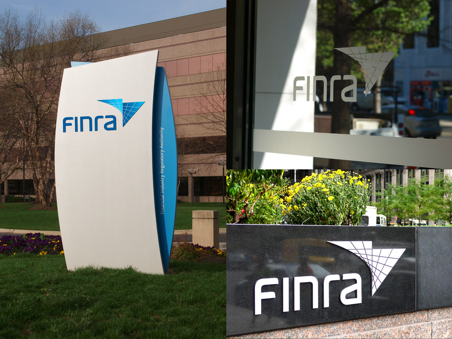 Financial industry regulatory authority finra disciplinary actions woman in suit vest