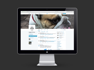 Image of Doug's Dogs Twitter page